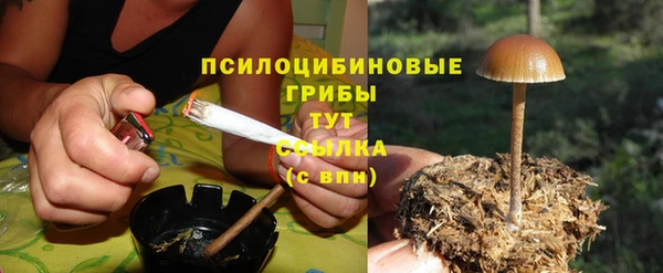 дживик Алзамай