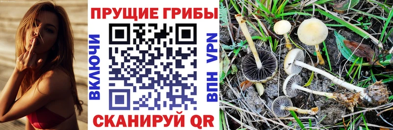 Галлюциногенные грибы Magic Shrooms  МЕГА зеркало  Приозерск 